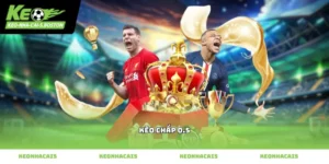 kèo chấp 0.5 và cách xem tỷ lệ chấp nửa trái chính xác